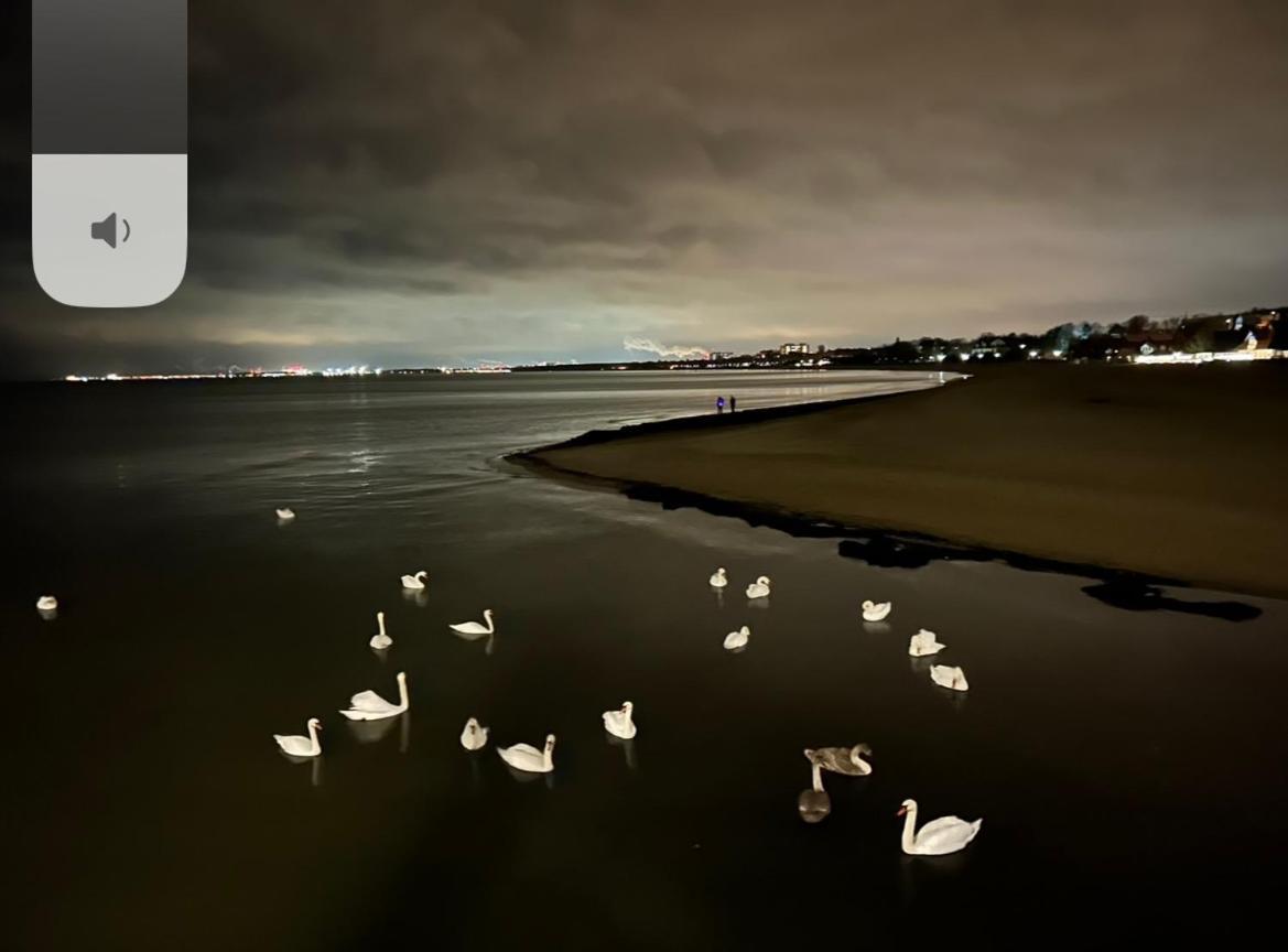 Gdansk Seaside - Osiedle Latarnikow Letnica 2アパートメント エクステリア 写真